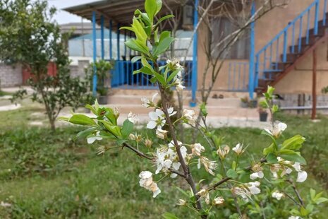 واحد تک خواب 1 در اقامتگاه بومگردی تنکابن