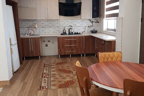 باغ ویلای الیزه در رشت