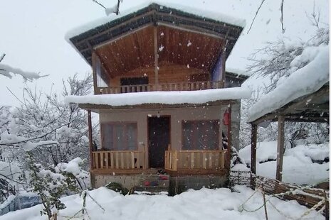 ویلا دوبلکس عمارت چوبی تکخواب در بابل