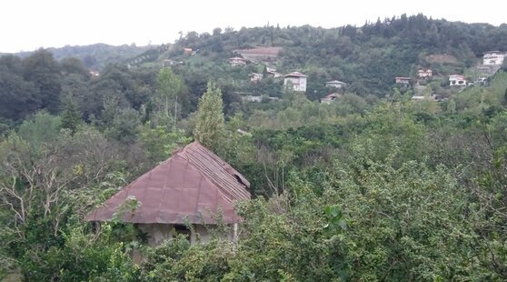 ویلا یک خواب درشیردار کلا بابل