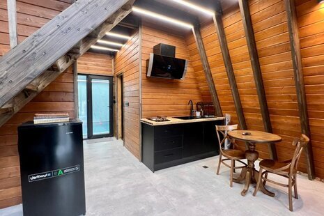 کلبه سوئیسی استخردار دوبلکس دوخواب آوان در چالوس