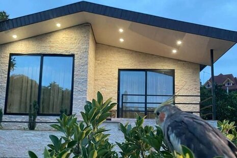ویلا جنگلی تکخواب دنج در تنکابن