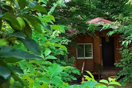 کلبه جنگلی 3 شیروان در ماسال