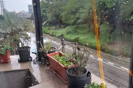 آپارتمان مبله دو خواب ساحل در اهواز