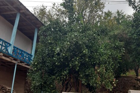 ویلا دوبلکس تک خواب سرای عشق در شیرگاه