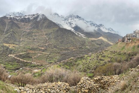 آپارتمان مبله تکخواب دیوەخان در سروآباد