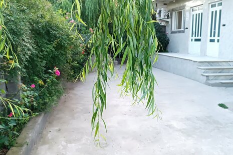 واحد دوخواب  اراز در طبقه همکف ویلا گالیکش