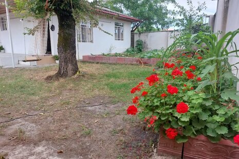 خانه ویلایی تک خواب عطا در آستارا