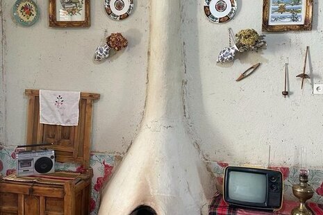 اجاره اتاق آغ بابا در آزادشهر گلستان