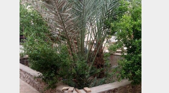 اتاق دراقامتگاه کویری در اصفهان