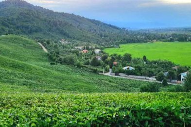 ویلا تکخواب مبله در فومن