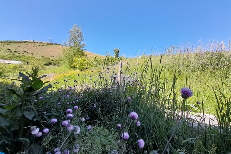 باغ ویلا دو خواب مبله در دیلمان