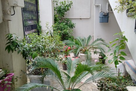 واحد مبله دو خواب طبقه اول ویلا رونیا در رامسر