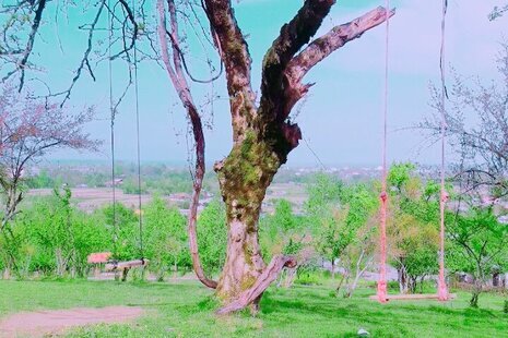 ویلاتکخواب زیر بام سبزشاندرمن