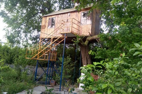 کلبه درختی 20 متری در نور