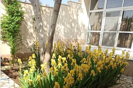 آپارتمان مبله تکخواب در چادگان