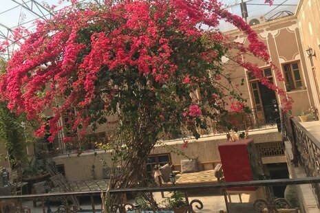 اتاق 2 تخت بالا در اقامتگاه بوم گردی در یزد