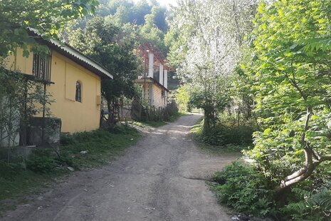 ویلا تکخواب جنگلی در نشتارود