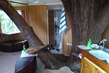 کلبه درختی 20 متری در نور