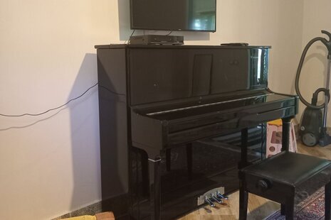 ویلا تکخواب همیشه بهار در قائم شهر