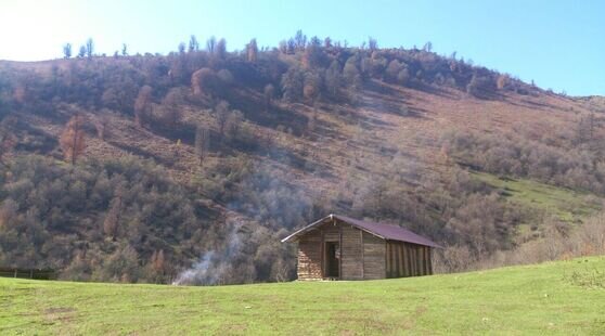 کلبه چوبی اولسبلنگاه