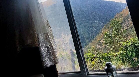 سوئیت جنگلی در لاویج