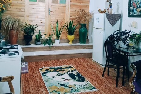 ویلا تکخواب مبله سبزمان در ماسال