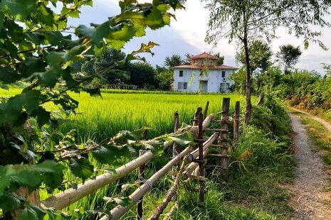 واحد طبقه همکف اسپیناز دو تالش