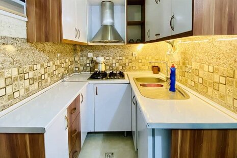 سوئیت مبله ولیعصر بازار در منیریه