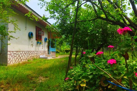 ویلا مبله تکخواب آواز پرنده در طاسکوه ماسال