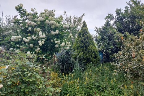 واحد تکخواب در طبقه اول ویلا پره سر