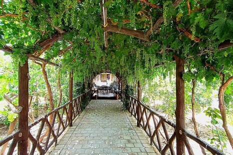 باغ ویلا تکخواب دربست در فین کاشان