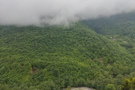 واحد مبله تک خواب نگین یک در طبقه اول ویلای تنکابن