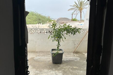 اتاق باغ vip در بومگردی قشم