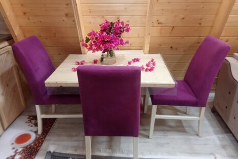 کلبه چوبی تک خواب یاس و رز در تنکابن