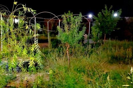 سوئیت ویلا در کاشمر