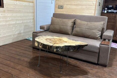 کلبه درختی جکوزی دار داروگ در شیرگاه