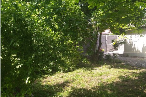 سوئیت نقلی همیشه بهار در رشت