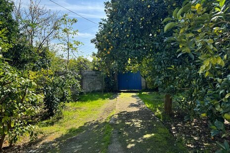 ویلا تکخواب ماجان در شیرگاه