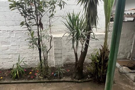 ویلا مبله دوخواب شهری در بندرانزلی