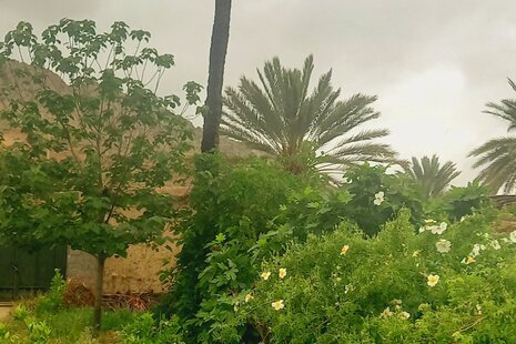 اتاق آفتاب در بومگردی در جهرم