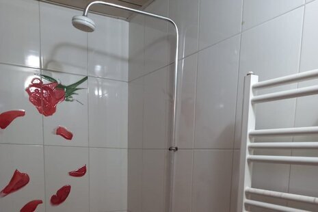 واحد تکخواب درهتل آپارتمان در زنجان