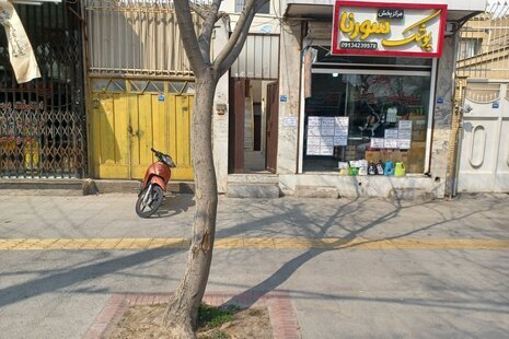 آپارتمان مبله تکخواب سورنا در اصفهان