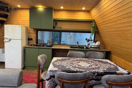 کلبه سوئیسی دوبلکس مبله دوخواب سام در زیباکنار