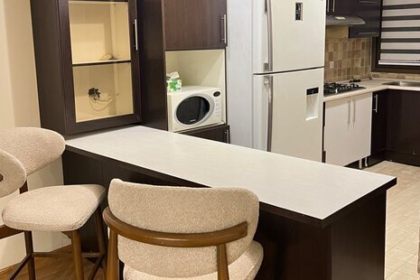 آپارتمان مبله تک خواب صرافهای شمالی  در سعادت آباد