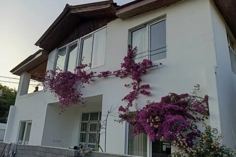 واحد تکخواب مبله در طبقه همکف ویلا نوشهر