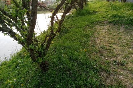 اتاق سه نفره (4)در اقامتگاه بومگردی رشت