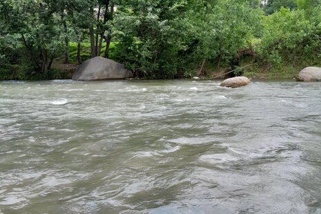 سوئیت ویلا 60 متری حافظ در بابل