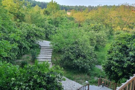 کلبه چوبی دوبلکس مبله در بابلکنار