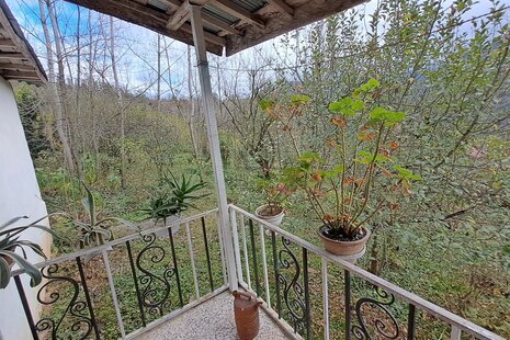 باغ ویلا دو خواب مبله در لنگرود